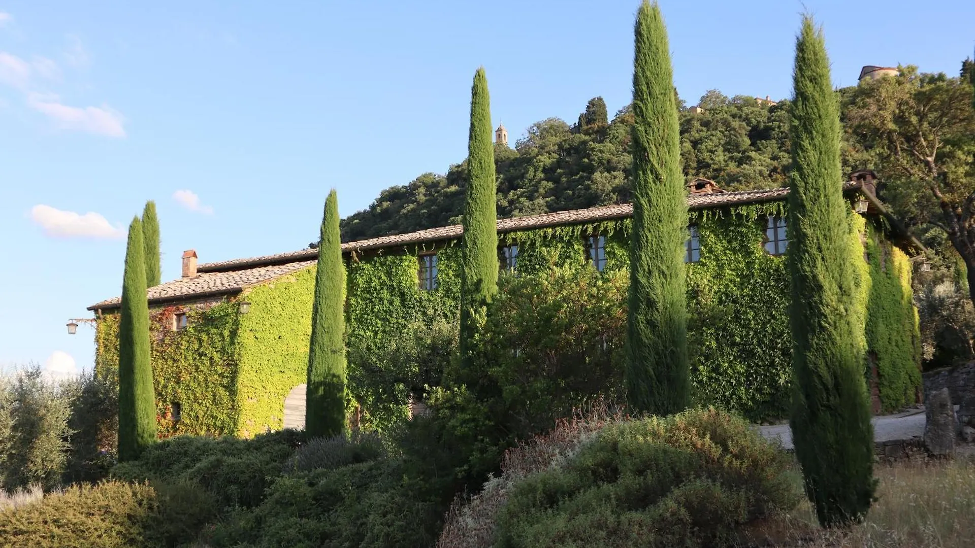 Montefollonico Abbadia Wine Relais Bed & Breakfast