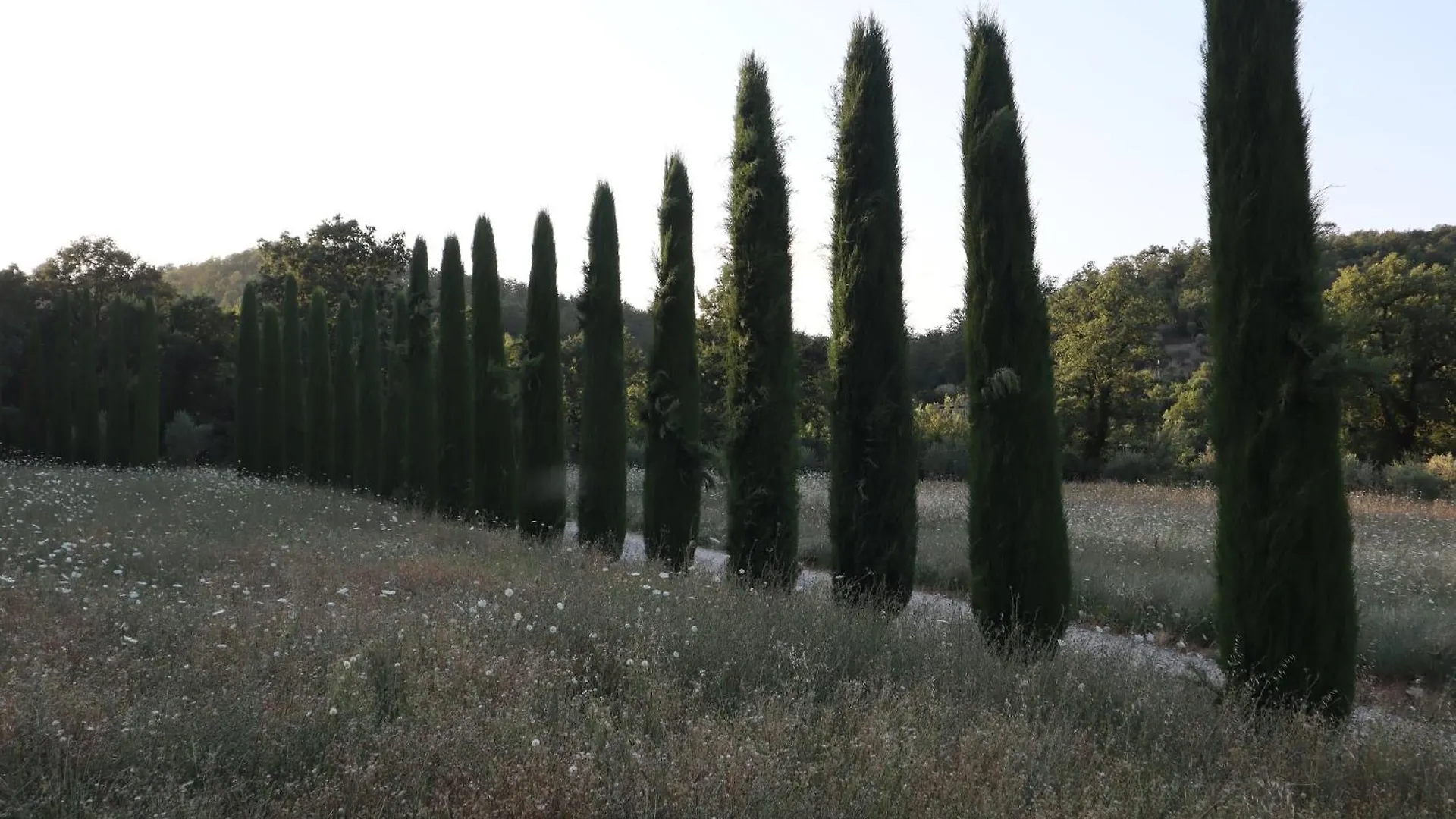 Montefollonico Abbadia Wine Relais Bed & Breakfast